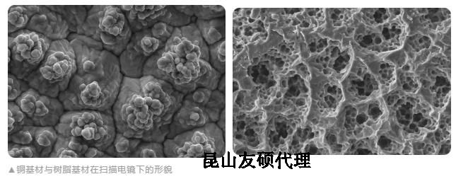 平顶山蔡司平顶山扫描电镜